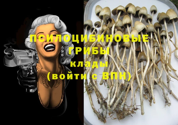 винт Абаза