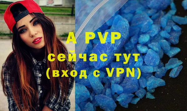 винт Абаза