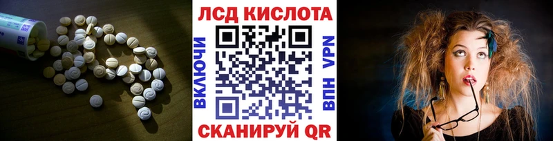 где найти наркотики  Эртиль  ЛСД экстази кислота 