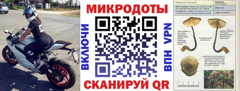 кракен ссылки  Эртиль  Галлюциногенные грибы Psilocybe  купить закладку 